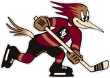 Roadrunners hockey logo