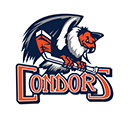 Condors