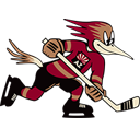 www.tucsonroadrunners.com