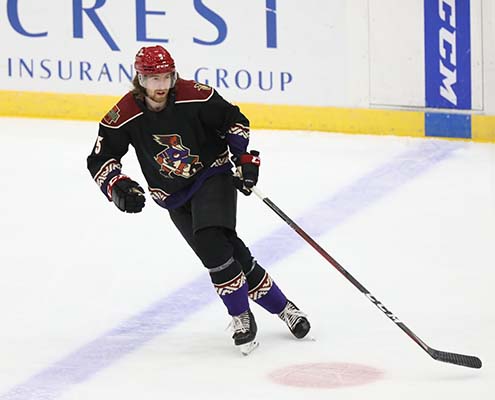 Training camp roster whittles down as Arizona Coyotes hit the road for more  preseason games - PHNX