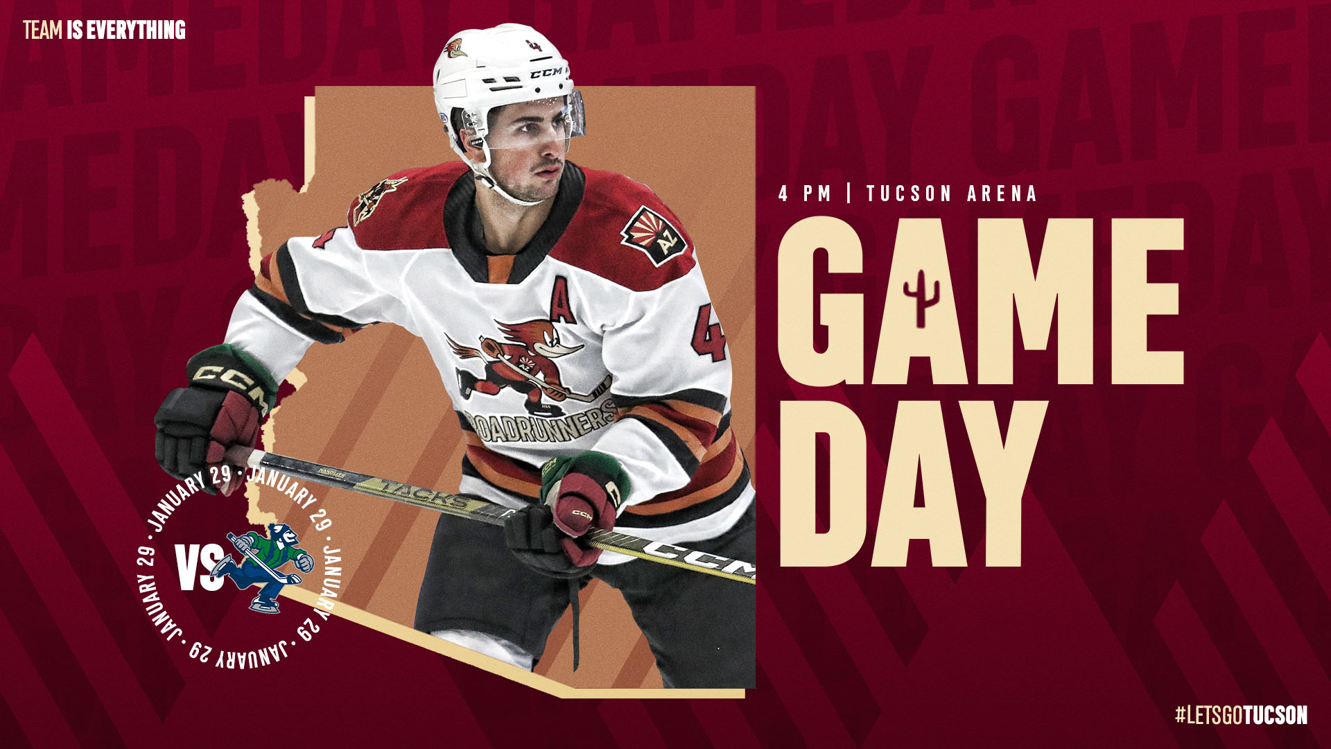 Game #55: San Diego Gulls (3) at Tucson Roadrunners (2)