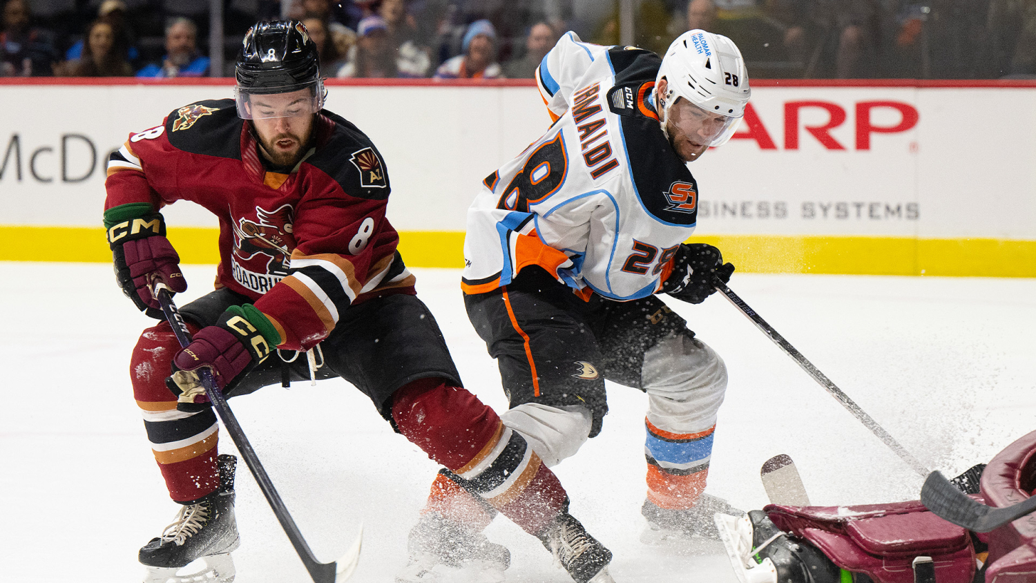 PREVIEW: Gulls, Roadrunners Meet On Fan Appreciation Night