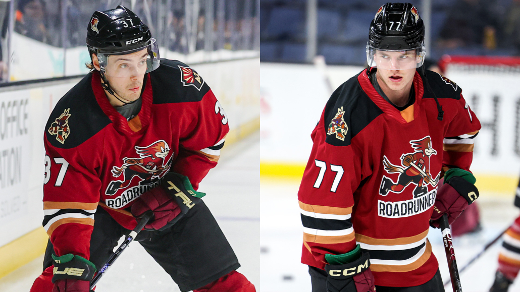 Defensemen Mayo And Soderstrom Recalled By Arizona Coyotes -  