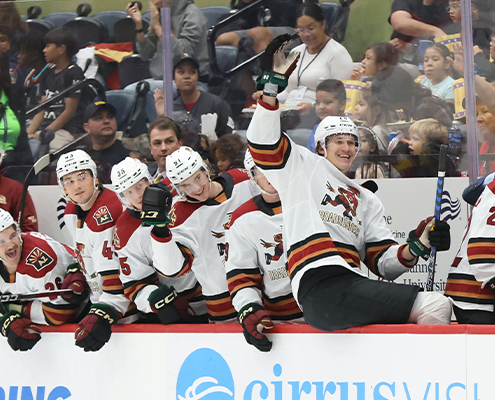 San Diego Gulls 2022 Goal Horn 