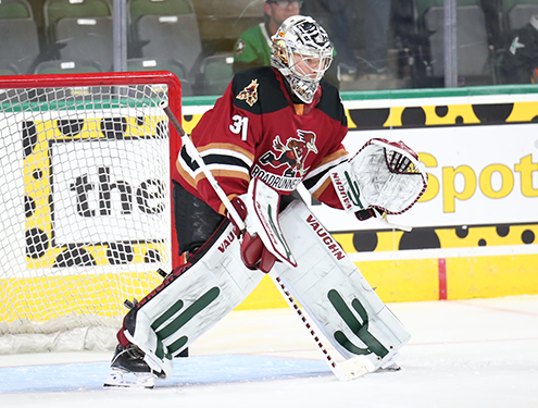 TucsonRoadrunners.com - Official Website of the Tucson Roadrunners AHL