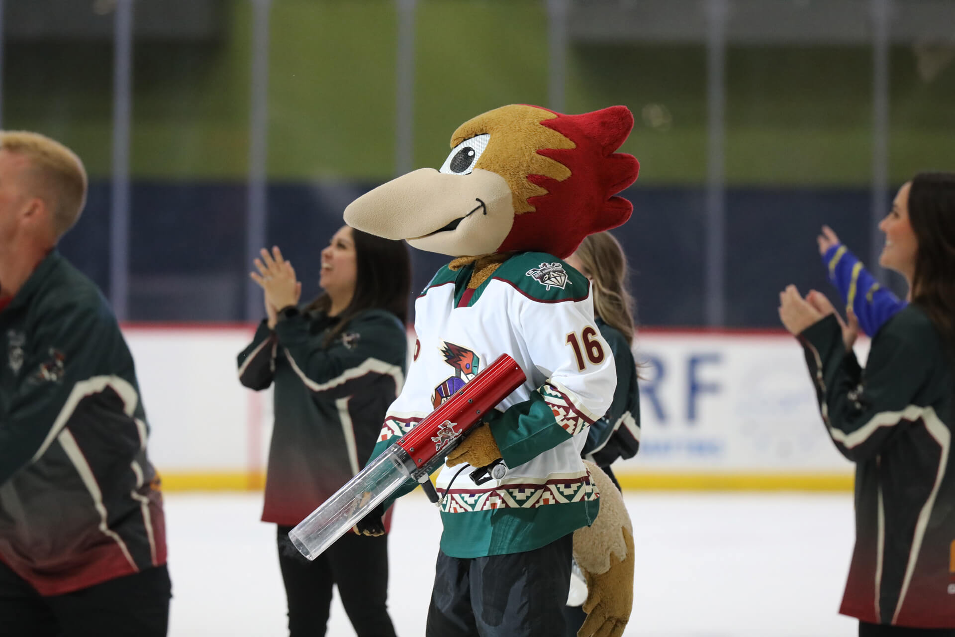 Tucson Roadrunners intermission at the arena