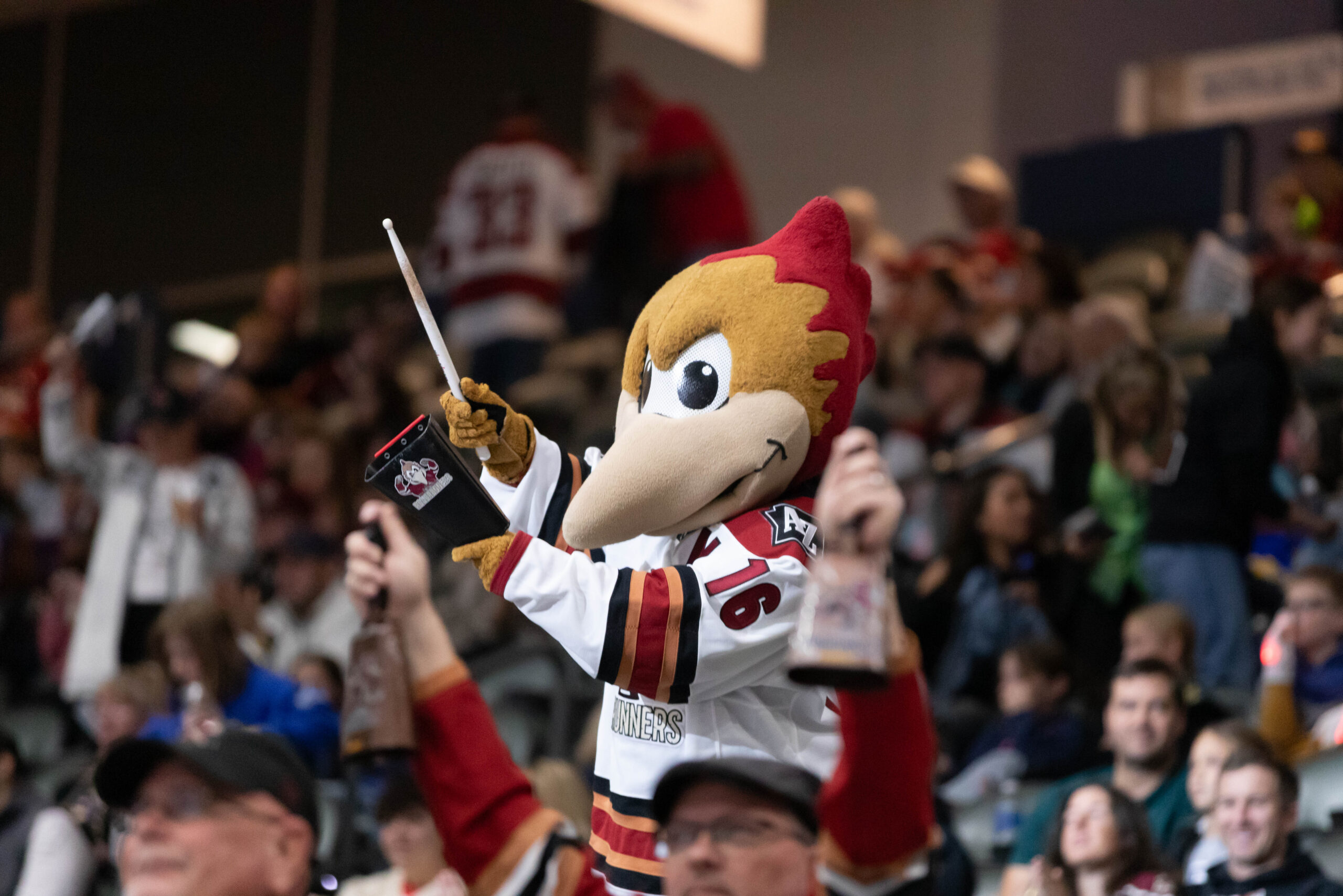 Tucson Roadrunners suites and loge boxes