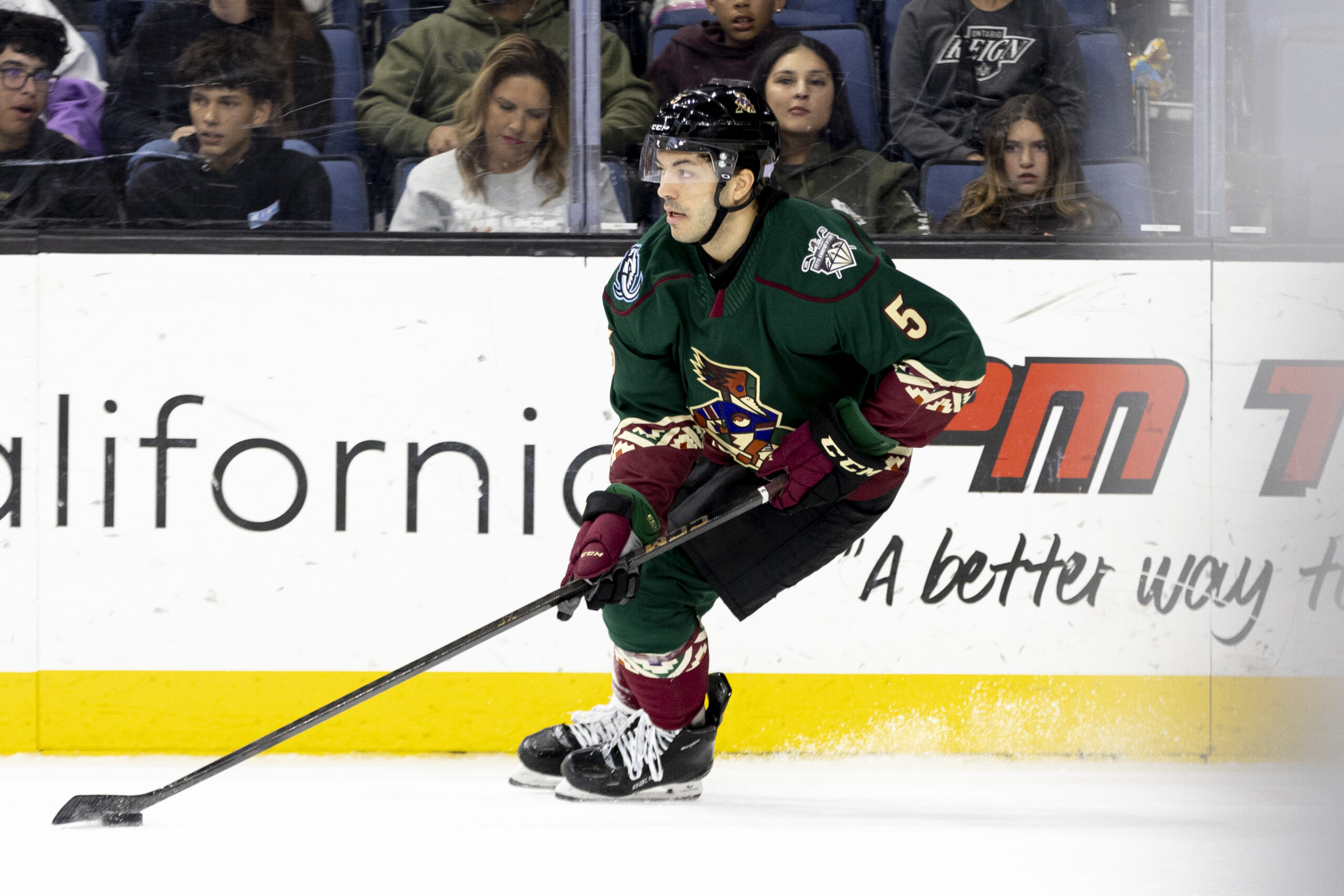 Tucson Roadrunners on the ice
