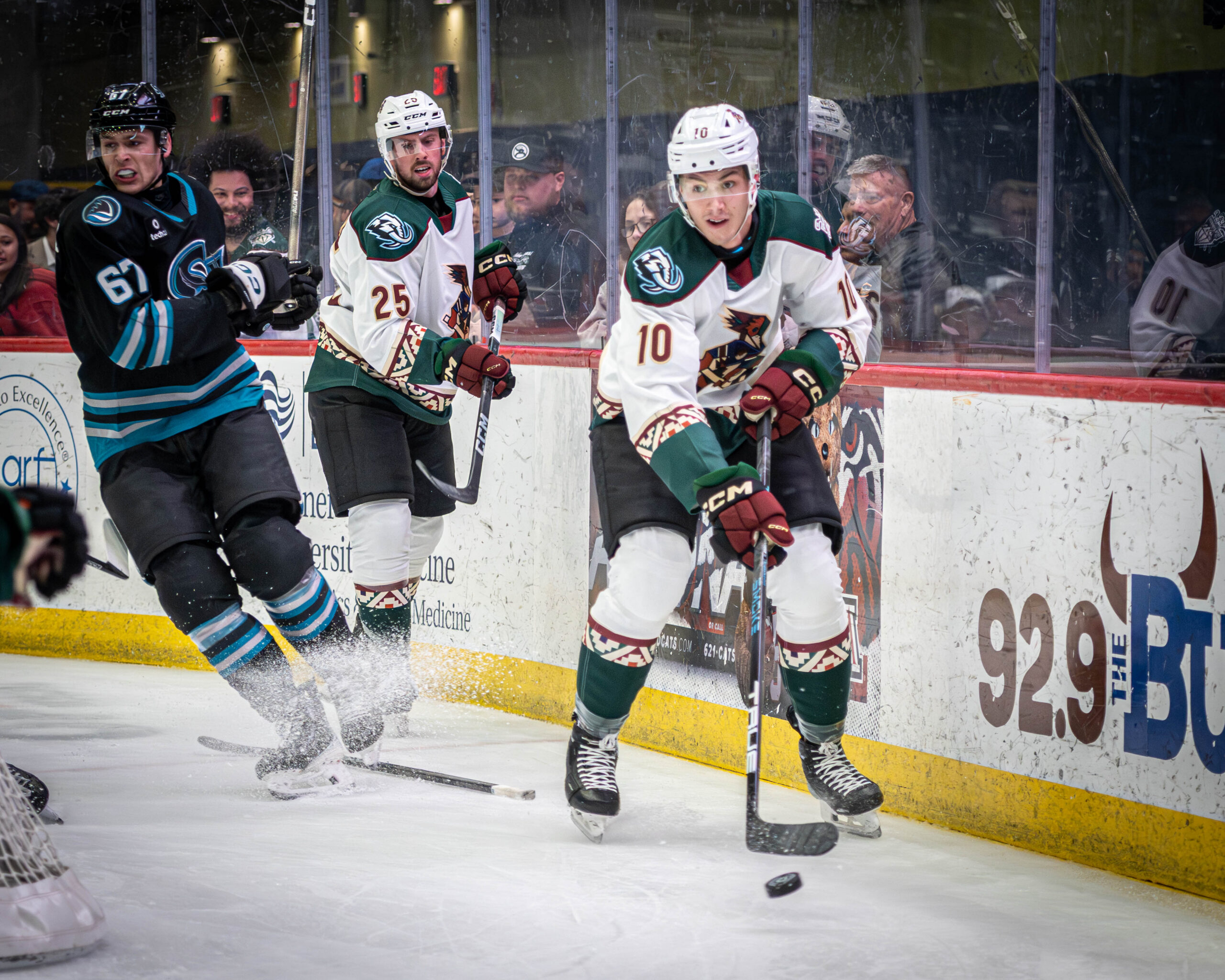 Tucson Roadrunners player in action