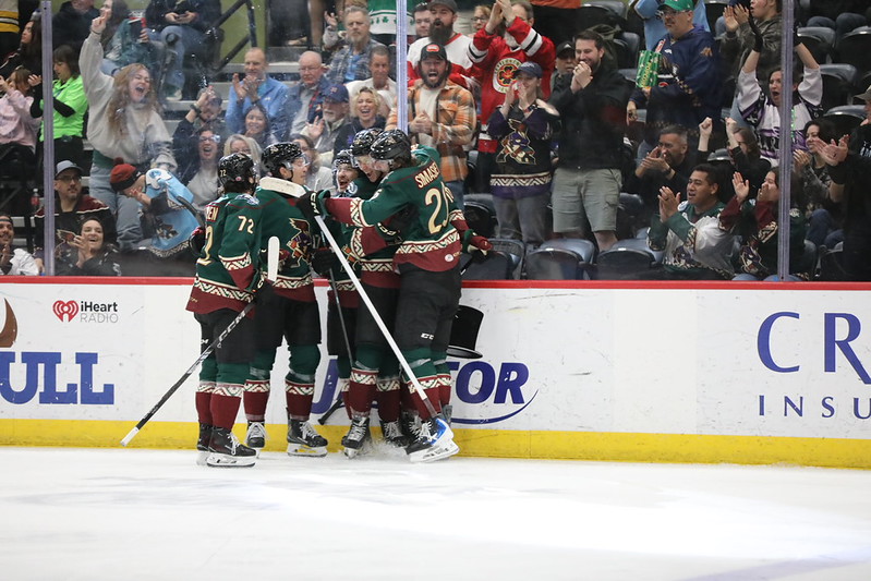 Tucson Roadrunners hockey action